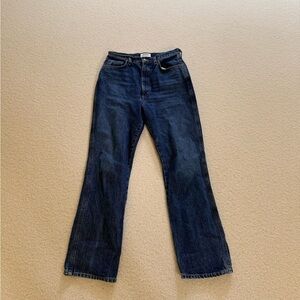 Agolde 90s Pinch Waist- High Jean